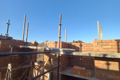 house-progress4