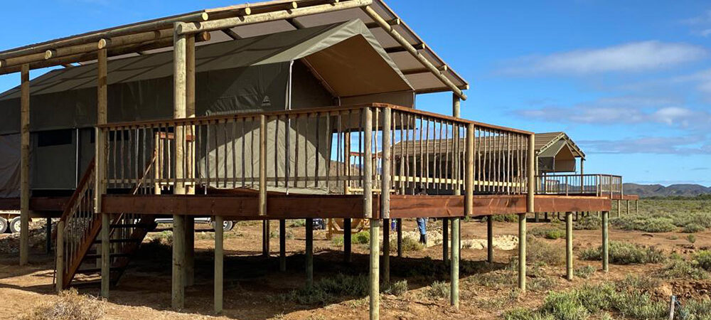 Absolutely Wild Luxury Tents