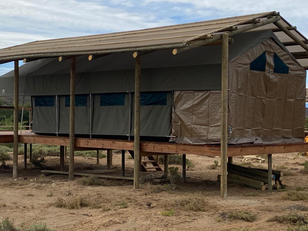 Luxury glamping tents at Absolutely Wild.